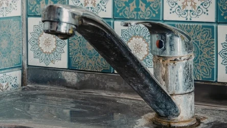 Nie tylko soda czy ocet przydają się do czyszczenia kranu w kuchni i łazience. Możesz do tego wykorzystać również oliwkę spożywczą