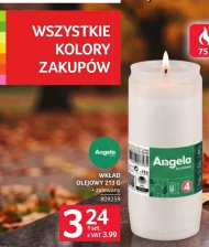 Wkład olejowy Angela