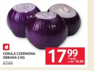 Cebula czerwona