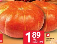 Dynia