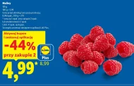 Maliny Plus-Plus