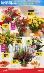 Jesienne smaki w supercenach - Polomarket