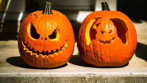 Których dyń lepiej nie wybierać na Halloween? 