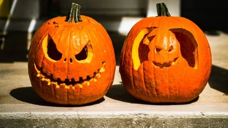 Których dyń lepiej nie wybierać na Halloween? 