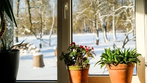 Depositphotos