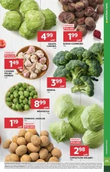 Polecamy w tym tygodniu - Stokrotka Supermarket