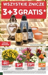 Polecamy w tym tygodniu - Stokrotka Supermarket