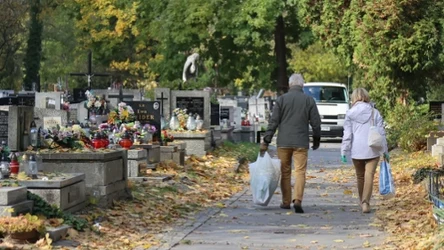  Lasy Państwowe ruszają z kontrolami przed 1 listopada