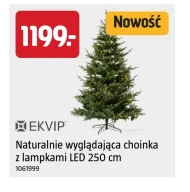 Choinka Ekvip