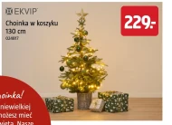 Choinka Ekvip