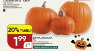 Dynia Chata polska