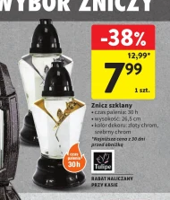 Znicz Tulipe