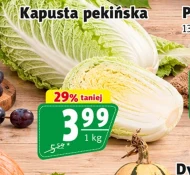 Kapusta