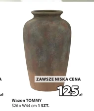 Wazon