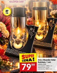 Znicz Rolmlecz