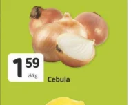 Cebula