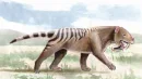 Thylacosmilus był wielkim przedstawicielem drapieżnych ssaków zwanych Sparassodonta