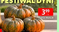 Dynia Muscat