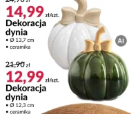 Dynia