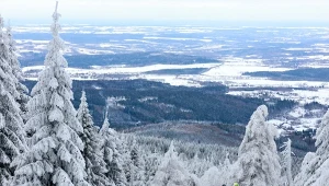 Gdzie na zimowe wycieczki? W tych miejscach śnieg jest gwarantowany