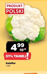 Kalafior Polski