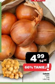 Cebula