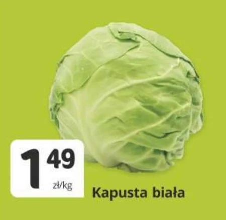 Білокачанна капуста