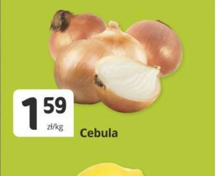 Цибуля