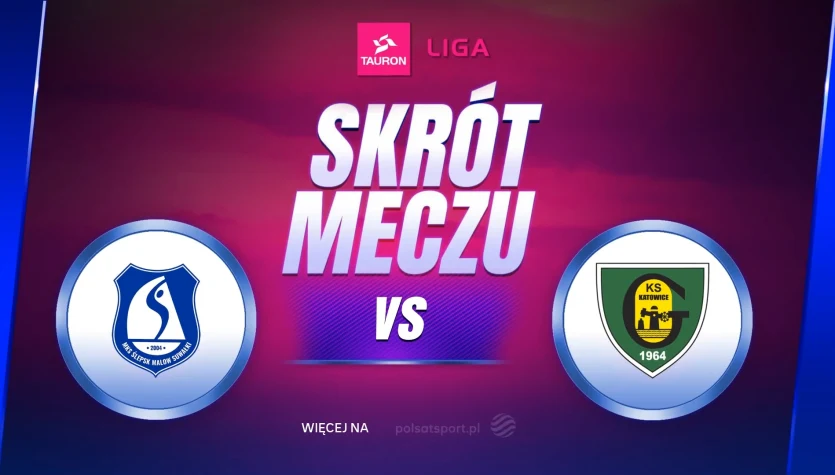 Ślepsk Malow Suwałki - GKS Katowice. Skrót meczu. WIDEO