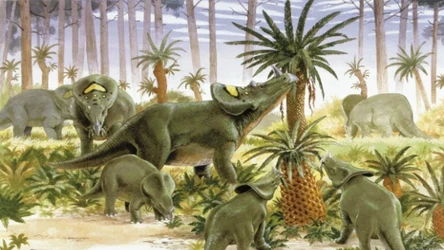 Rośliny kwiatowe nie pojawiły się w epoce dinozaurów, ale wcześniej