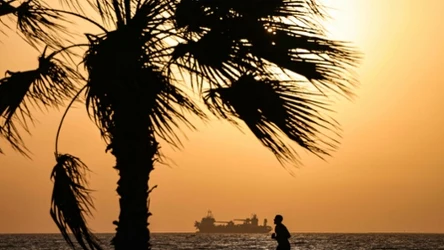 Plaże w Zjednoczonych Emiratach Arabskich są zagrożone katastrofą ekologiczną