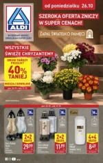 Szeroka oferta zniczy - Aldi