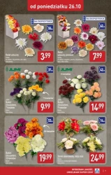Szeroka oferta zniczy - Aldi