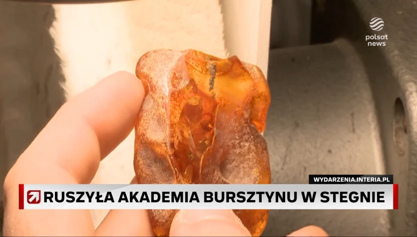 Hit nad Bałtykiem. Ruszyła pierwsza w Polsce Akademia Bursztynu