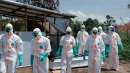 Epidemia Eboli w Afryce zmusza państwa do radykalnych rozwiązań