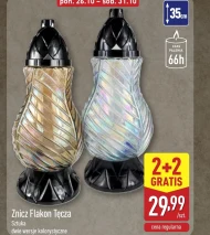 Znicz