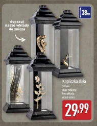 Znicz