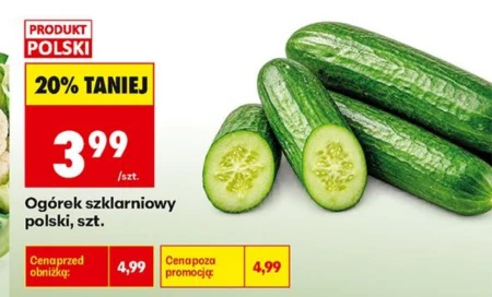 Огірок Polski
