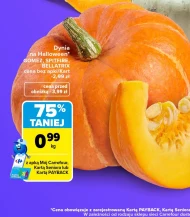 Dynia Carrefour