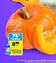 Dynia Carrefour
