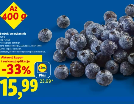 Чорниця Plus-Plus