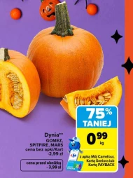 Dynia Carrefour