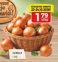 Cebula