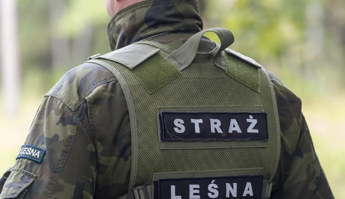 Straż Leśna wzmaga kontrole