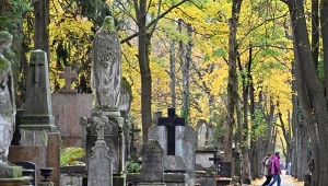 Nie tylko krzyż, Jezus i rośliny. Nietypowe symbole na polskich grobach