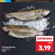 Pstrąg tęczowy