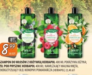 Шампунь Herbapol