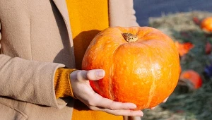 Halloweenowy horoskop. Sprawdź, jaki kostium najlepiej pasuje do twojego znaku zodiaku