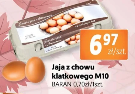 Яйця mio