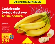 Banany Plus-Plus